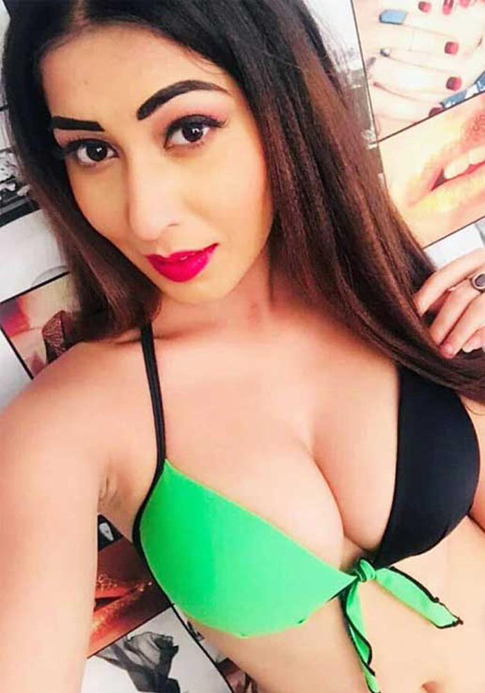Aerocity Escort Model Neha